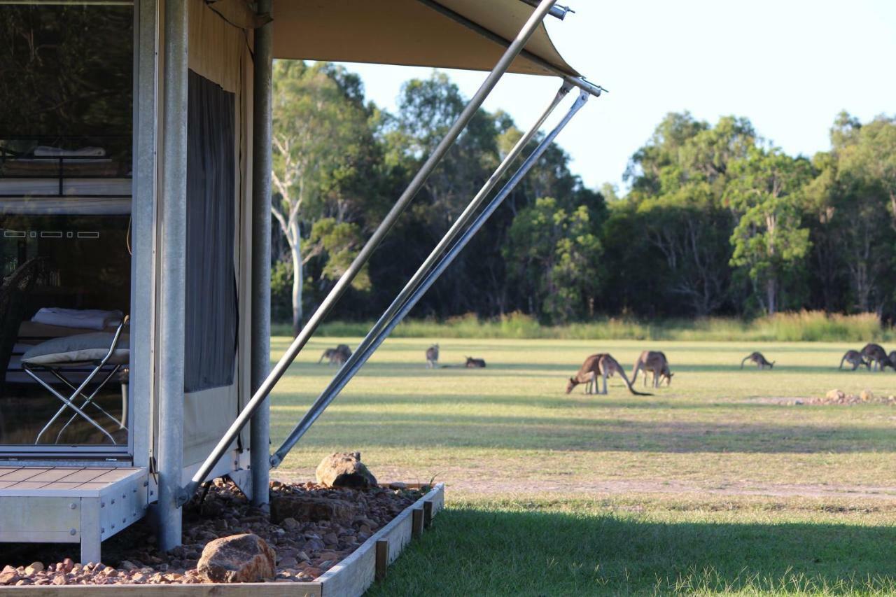 Habitat Noosa Hotel Cootharaba Exterior foto